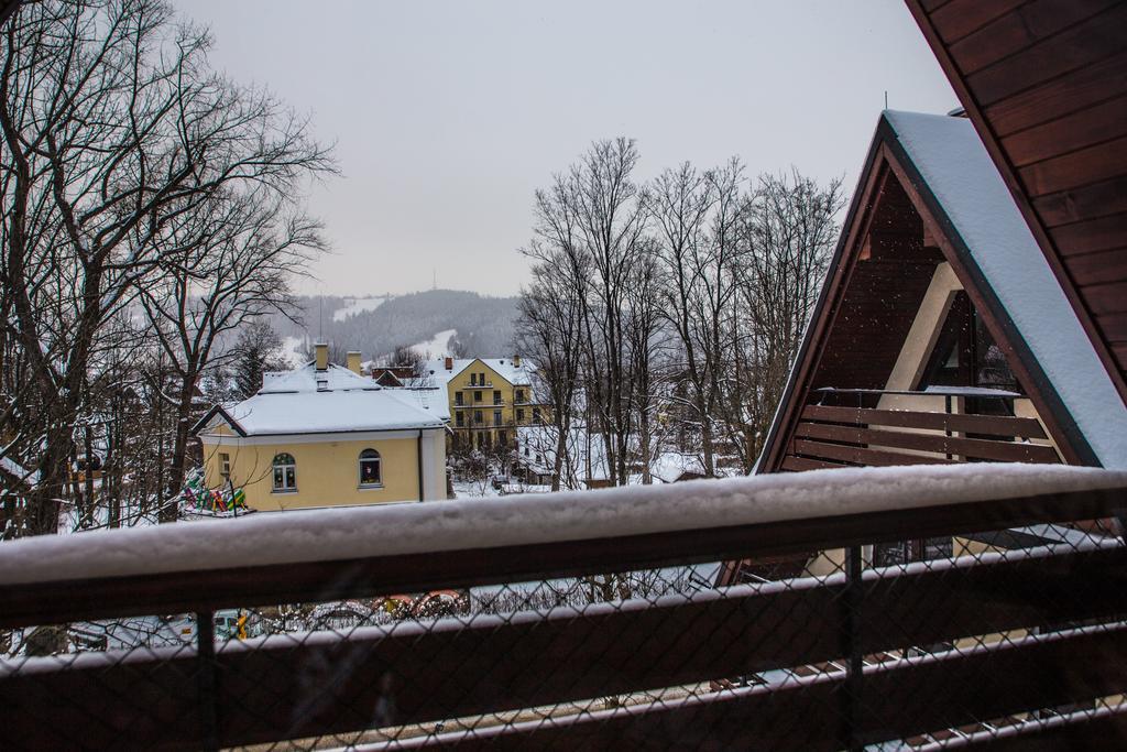 Zacisza Tetmajera Appartement Zakopane Buitenkant foto